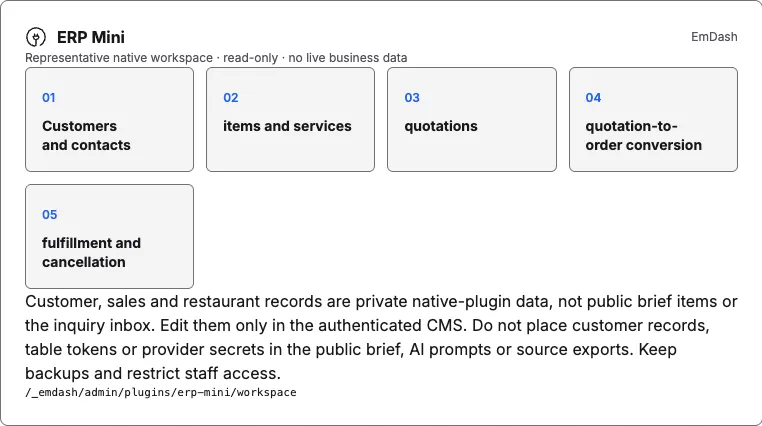 Screenshot of the illustrative ERP Mini read-only workspace preview; no live business data